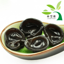 林芝缘 三年经典 东北黑木耳 极品小木耳 39.5元 秋耳 3份包邮