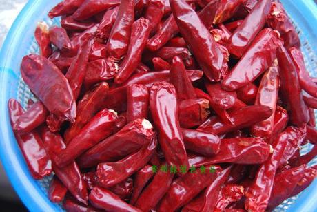 2012年新辣椒贵州农家人种植红辣椒朝天小米