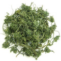 人参花 新鲜 清香甘纯 6年根参花 一等品 50克