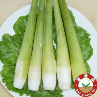  新鲜蔬菜 新鲜有机茭白 无锡茭白 健康绿色食品 今日特价秒杀