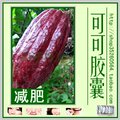 冲皇冠 可可粉胶囊150粒 燃烧脂肪 利水排毒 快速减肥