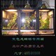 变色龙蜥蜴专业饲养箱