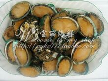 真情回报　 速冻 鲜活 鲍鱼 特价58元/500克 绝对超值!