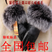 已售出:15