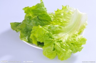  盘中餐每日新鲜上市 成都方便净菜　素绿叶蔬菜 生菜 限量配送