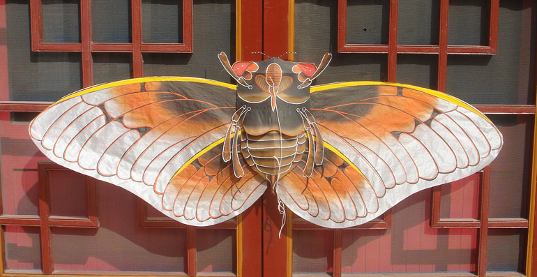 家装饰品\/窗帘\/地毯潍坊风筝【潍坊风筝店】 大