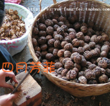 核桃 500g薄皮 补肾生发 孕妇首选 绝无药水漂白 买5斤送夹子