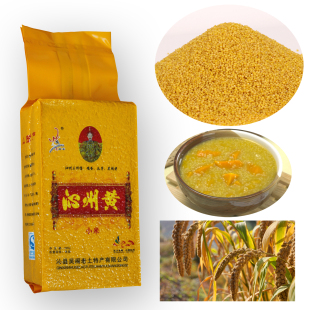  沁州黄优级小米500g 真空 3赠1 5赠2 新米吴阁老 全国满98元包邮