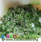 taobao english 12862063523