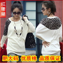 秋冬装新款2011热销新品韩版冬季大码女装宽松长袖T恤打底衫 Tt09