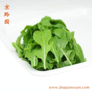  【京黔园】绿色蔬菜 芝麻菜 紫花南芥 芸芥 德国芥菜 北京买菜