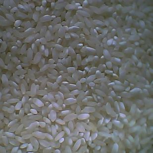  新上市国产大米 籼米 宝宝米正宗新龙桥米 米粉 河粉 米线