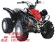 休闲娱乐型沙滩车-大恐龙ATV110CC