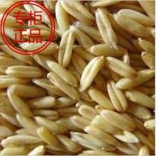 100%原生态优质 燕麦米 燕麦仁 纯天然野麦 粗粮 500克 