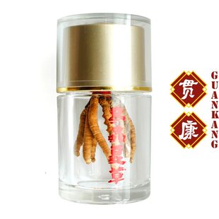  【贯康】西藏那曲 冬虫夏草 精选级别 礼盒 野生虫草 包邮