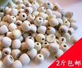 莲子2斤包邮磨皮去芯白莲寸三莲湘莲有机500g白石莲农 母亲节特价