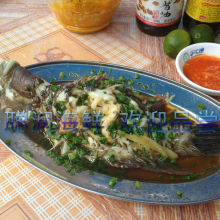清蒸苏媚 青衣 聪润海鲜 水产 鲜活 三亚美食订餐成品菜提货券