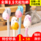 上下架计划:韩国文具学生用品可爱站立超Q小驴笔圆珠创意卡通表情中性带笔座