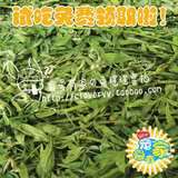 taobao english 5686544184
