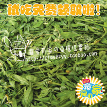 2012年新草 500g！ 极品紫花苜蓿草 超级绿 兔草牧草干草