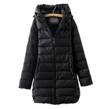 2010ZARA冬装修身PU皮质长款羽绒服