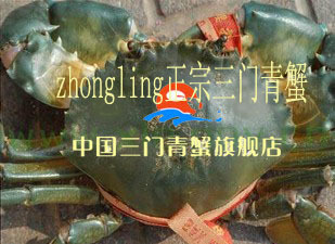  三门青蟹 肉蟹 螃蟹 海鲜 蝤蛑 海蟹 三门海鲜送礼 青蟹