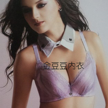 韩姿娜 专柜正品 2012春夏新款 聚拢文胸 小胸MM最爱加厚A杯2663V