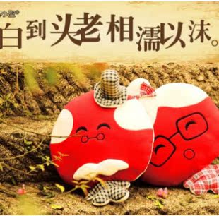  包邮 结婚礼物实用 创意抱枕娃娃 新婚婚庆礼品时尚 新房婚房摆件