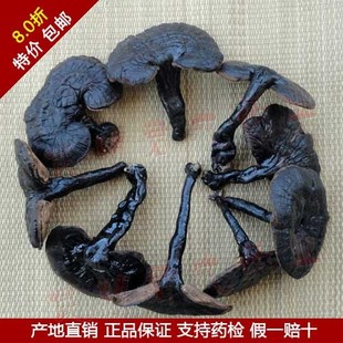  皇冠 煲汤首选 不苦 云南野生紫灵芝 黑灵芝(250g)降血压血糖血脂