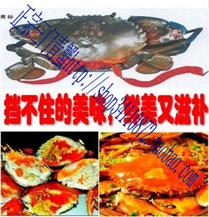  蟹 三门青蟹 膏蟹 螃蟹 蟹钳 蟹黄 水产海鲜鲜活5两上下每斤