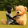 默咔伊伊 毛绒玩具熊 1.6米1.8米2米泰迪熊 生日礼物 江浙沪包邮