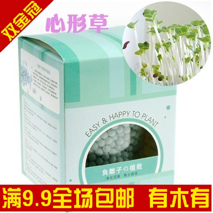 DIY花草植物种植-陶碳球-负离子の植栽  创意盆栽 （心形草）