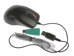 T1t_FhXlSpdJPRLcQW_022736.jpg_310x310.jpg