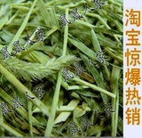 taobao english 3887919672