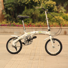 �۵����г� 14��/���೵/Green sports JS-142