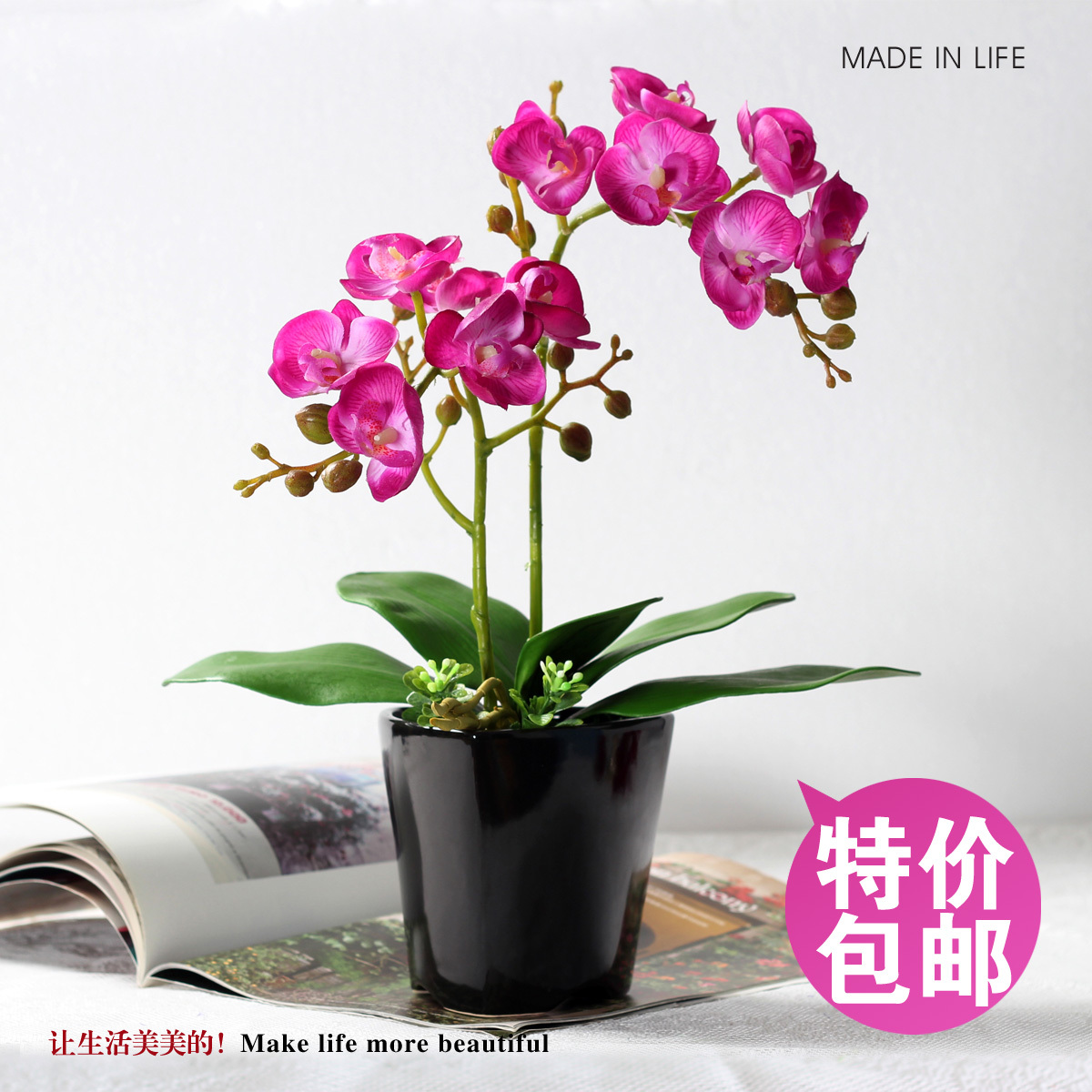 艺术插花付蝶兰哪个好?艺术插花付蝶兰价格,艺