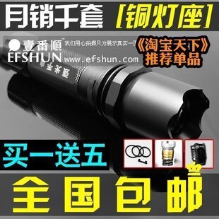 2010新款BL-8S 268流明 进口LED 三档 防水强光手电筒 精装