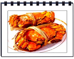  现货 阳澄湖大闸蟹 母螃蟹2.0-2.1两 海鲜私房菜 团购帝王蟹 紫蟹