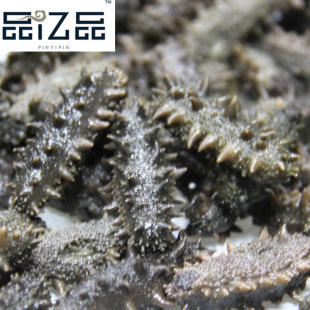  品亿品 盐渍海参 半干海参 大连海参 还是鲜海参营养价值高