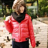 原价389元 as安都2011冬新款女装 立领简约短款羽绒服*YZ02-1615
