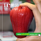 超低价 新鲜水果 正宗台湾黑珍珠莲雾1斤 4斤顺丰包邮 假一赔百