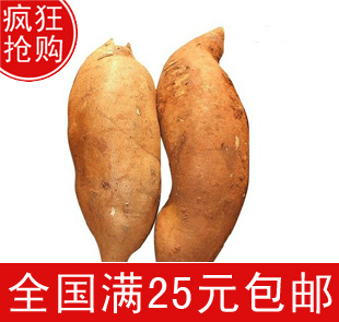  包邮】广西特产 新鲜雪莲果 雪莲果新鲜水果 5斤/22元