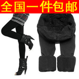 包邮1212全民疯抢秋冬打底裤 女靴裤竹炭加厚 加绒九分