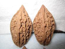 文玩核桃 红皮大柳叶 秋子(特价处理，买一赠一）c01