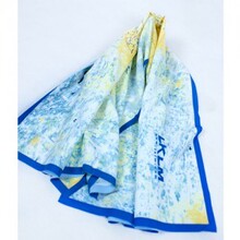 西藏新疆骑行地图