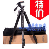 taobao english 7066778437