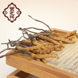  宝芝林 正品 西藏 那曲 冬虫夏草 5-6条/克 5-6根/克