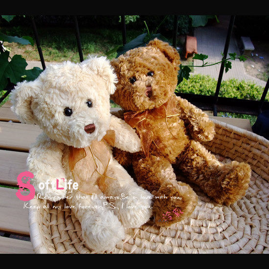 冲三冠惊悚特惠！Just like a  bear。超级大牌经典收藏泰迪熊。