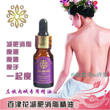 独家配方精油瘦腿瘦腰瘦脸瘦身减肥产品 配合左旋肉碱减肥药精油