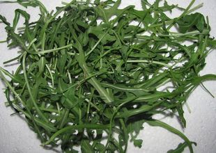  新鲜芝麻菜 芝麻叶 火箭菜新鲜蔬菜 沙拉必备 西餐生菜